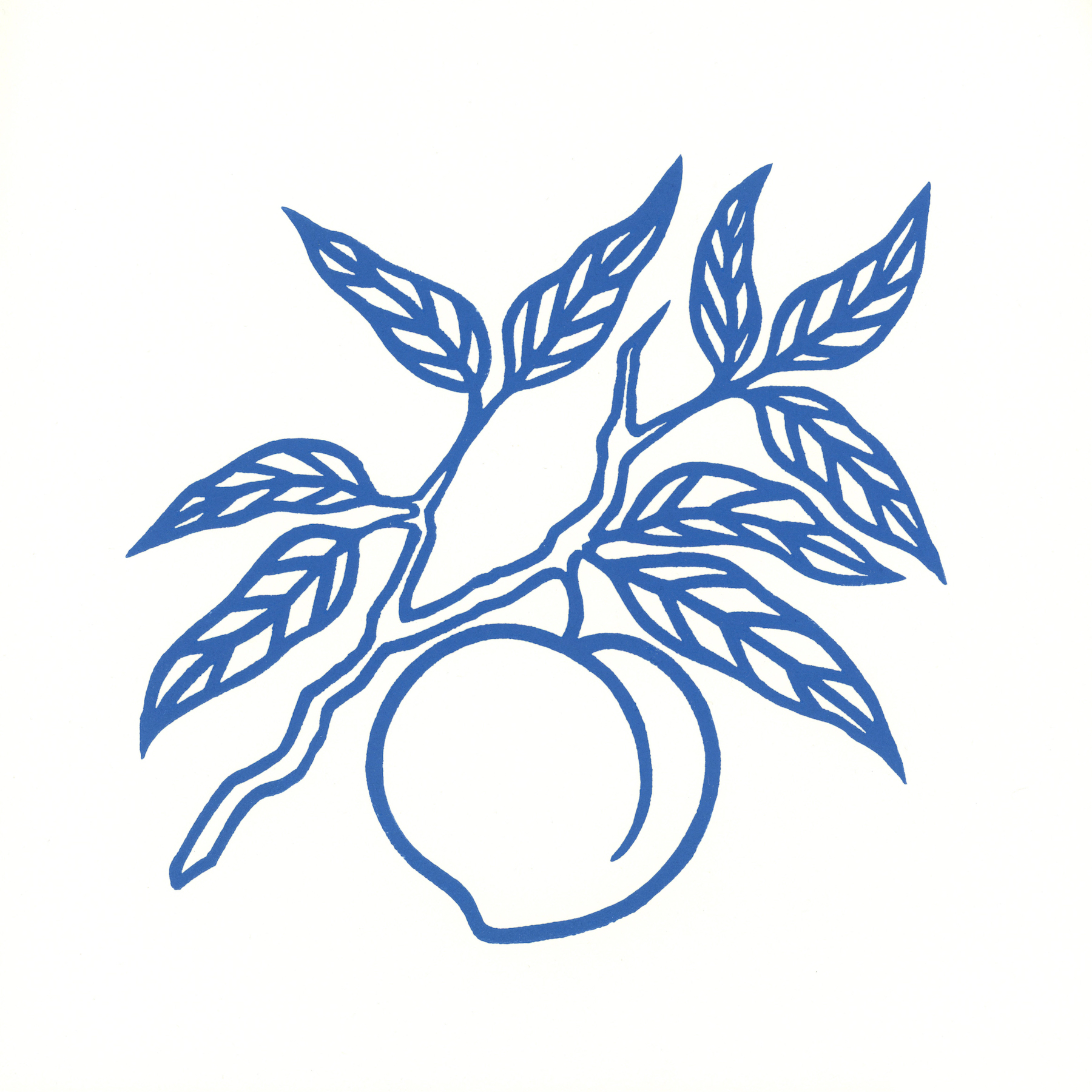 Blue Peach Branch Print