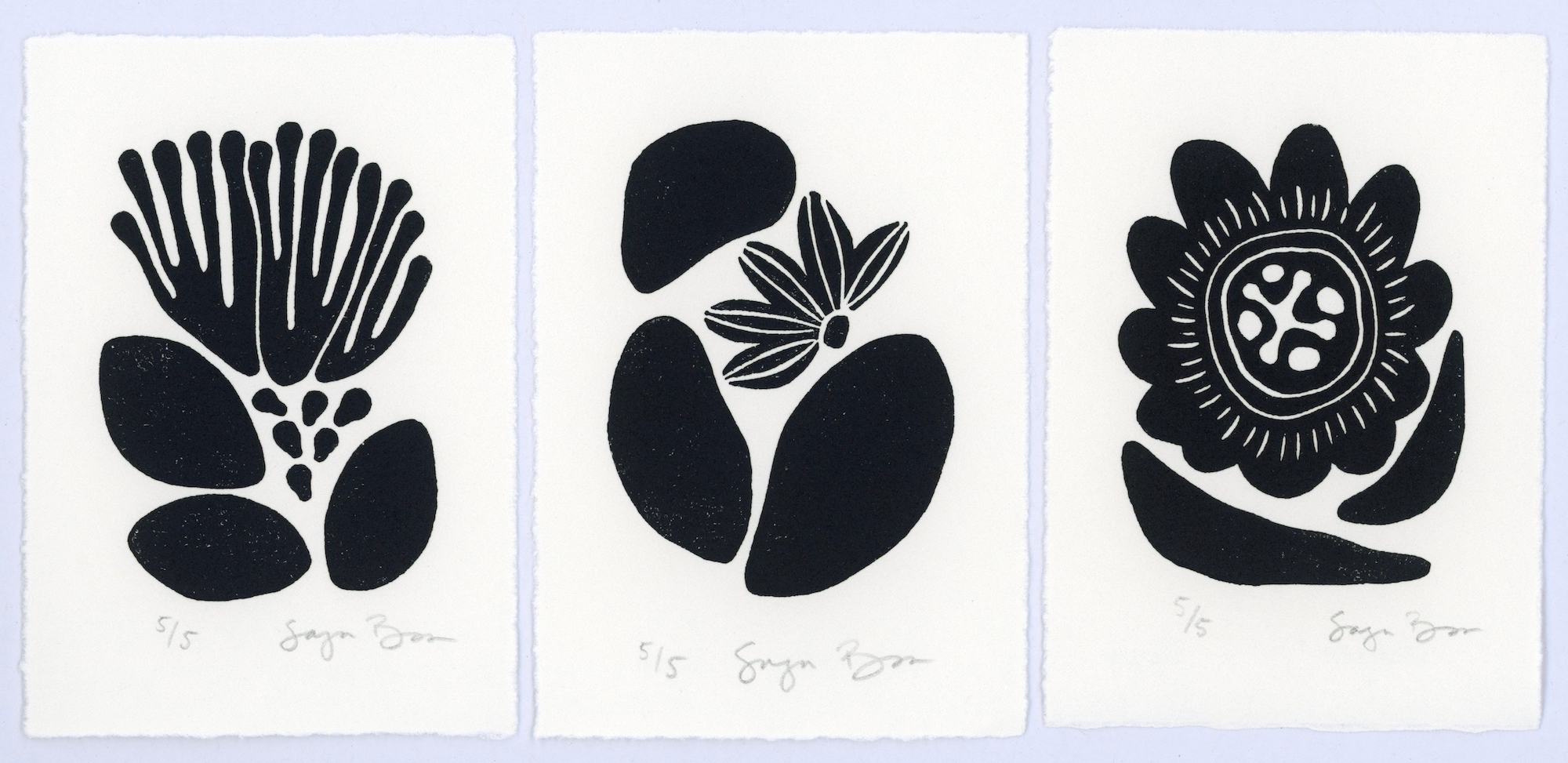 Three Tropical Prints: Lehua, Naupaka, Passion